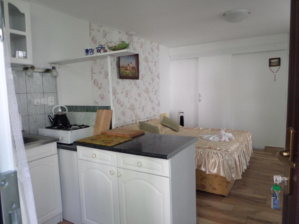 Bori Apartmanok ハイデゥソボスロー エクステリア 写真